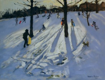 Snow, Rykneld Park, Derby, 2001 by Andrew Macara